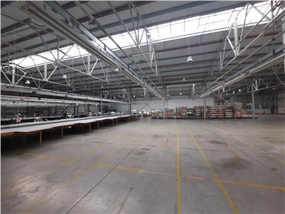 Production - Warehouse Space, 6500 sq m, Sibiu, A1 / E81