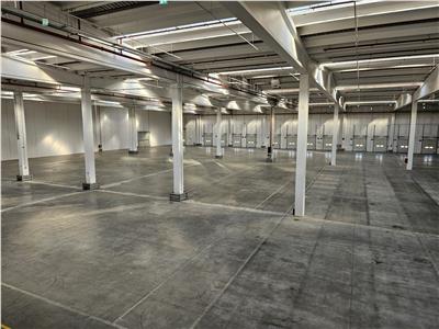 Industrial Space, Class A, 10000 sq m, Deva