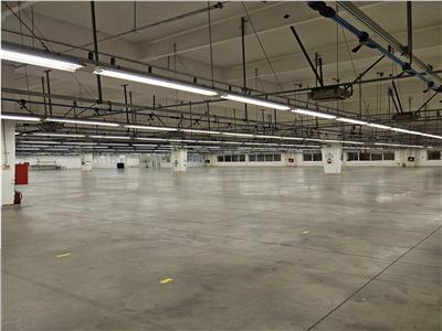 Industrial Space, Class B, from 4000 sq m to 8000 sq m, Sibiu Sud