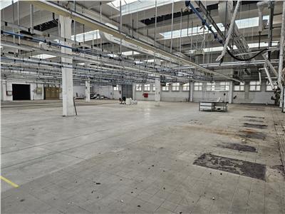 Industrial Space, Class B, 8000 sq m, Sibiu Sud