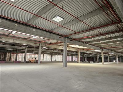 Industrial Space, Class A, 6000 sq m, Arad