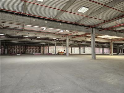 Industrial Space, 1500 sq m, Arad