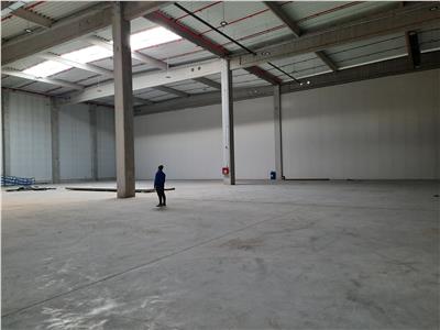 Spatiu Industrial, Clasa B, 1500 mp, Oradea