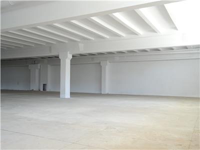 Production Space, 1000 sq m, Cisnadie, Sibiu