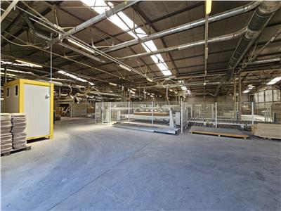 Industrial Property, Class B, 16000 sq m, Sebes, Alba