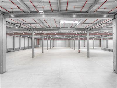 Logistics Spaces - 3000 sqm to 15000 sqm - Brasov West