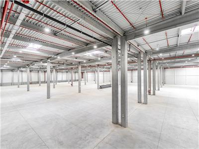 Spatii Industriale - 8000 mp - Logistica - Productie - Depozitare