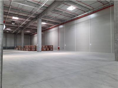Industrial Spaces – 8,000 sqm – Logistics – Production – Storage