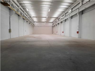 Industrial Space, Class B, 1145 sq m, Alba Iulia