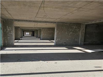 Spatiu Comercial - 300 mp - Doamna Stanca