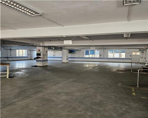 Exclusivitate - Proprietate Industriala De Vanzare - Productie - Depozitare
