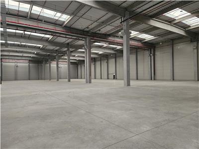 Spatiu Industrial - 6400 mp - Logistica - Depozitare - Distributie