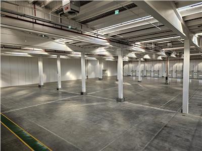 Logistic Space, Class A, 5000 sq m, Deva