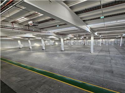 Spatiu Industrial - 5000 mp - Logistica - Depozitare - Distributie