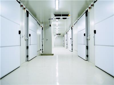 Cold Storage, Class A, 5200 sq m, Oradea